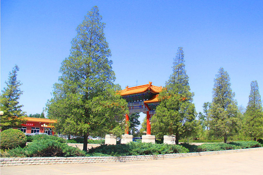绿化环境